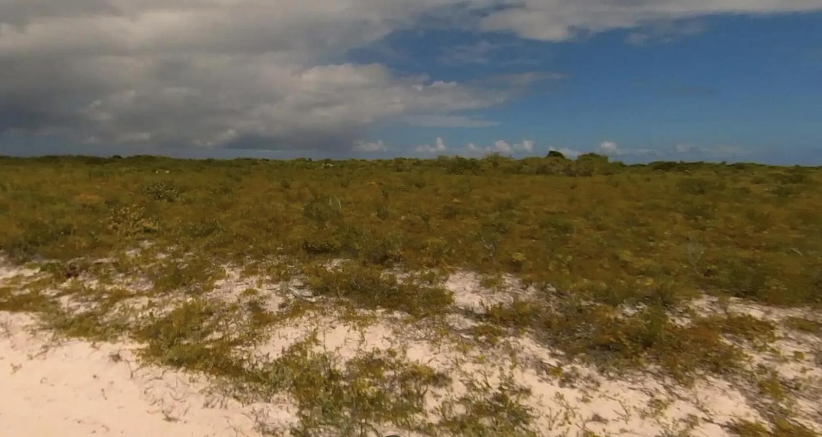 0.5 Acre Homesite in Anegada West End — photo 2