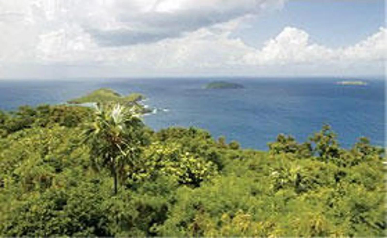 1.5 Acre Lot in Botany Bay, US Virgin Islands — photo 4