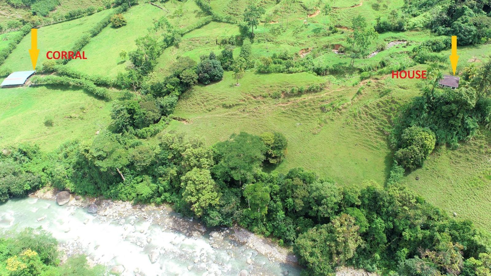 204 Acres of Farm Land for Sale — photo 4