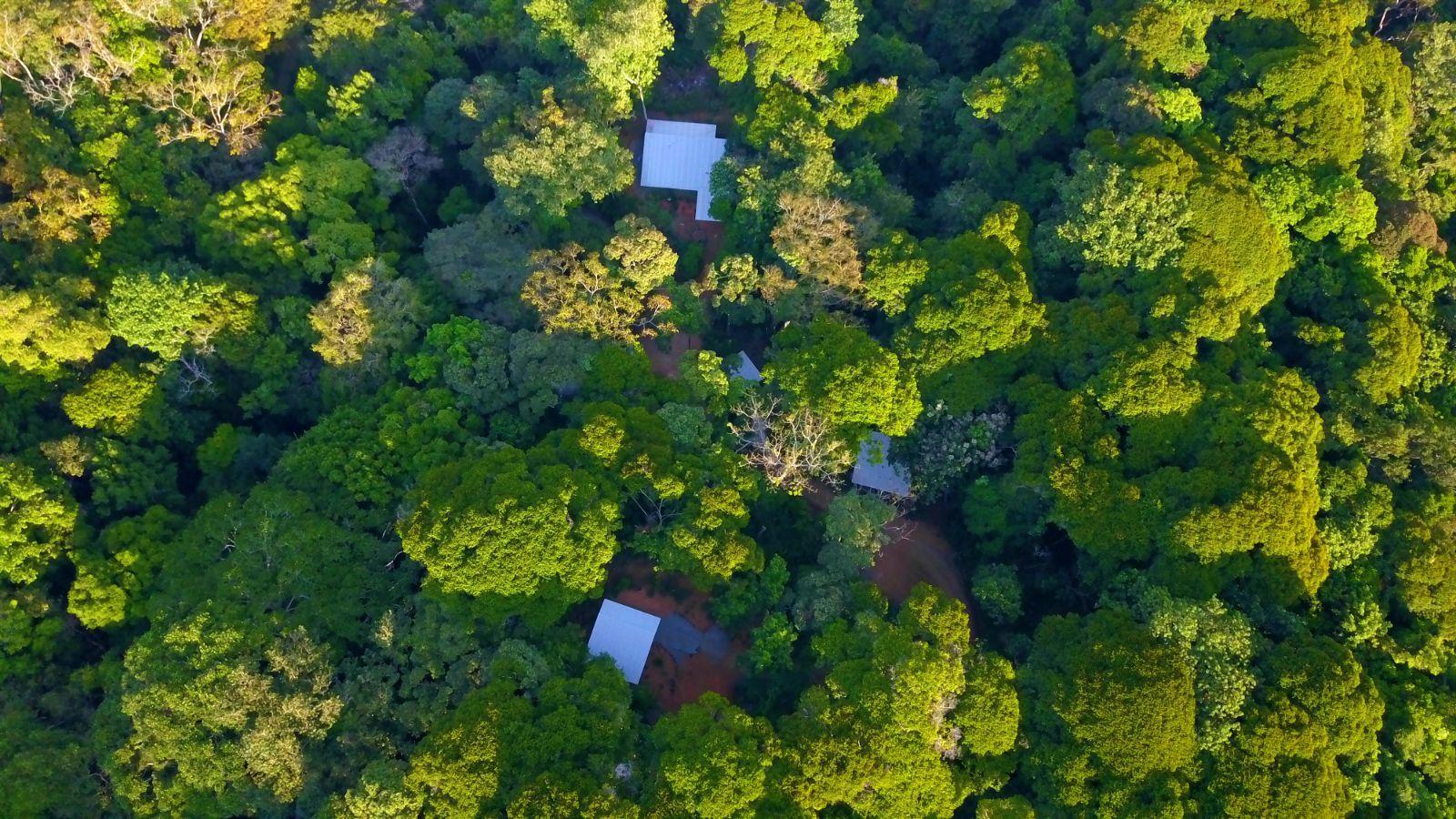 11-Acre Multi-Unit Jungle Property for Sale, Lagunas, Dominical, Puntarenas, Costa Rica — photo 4