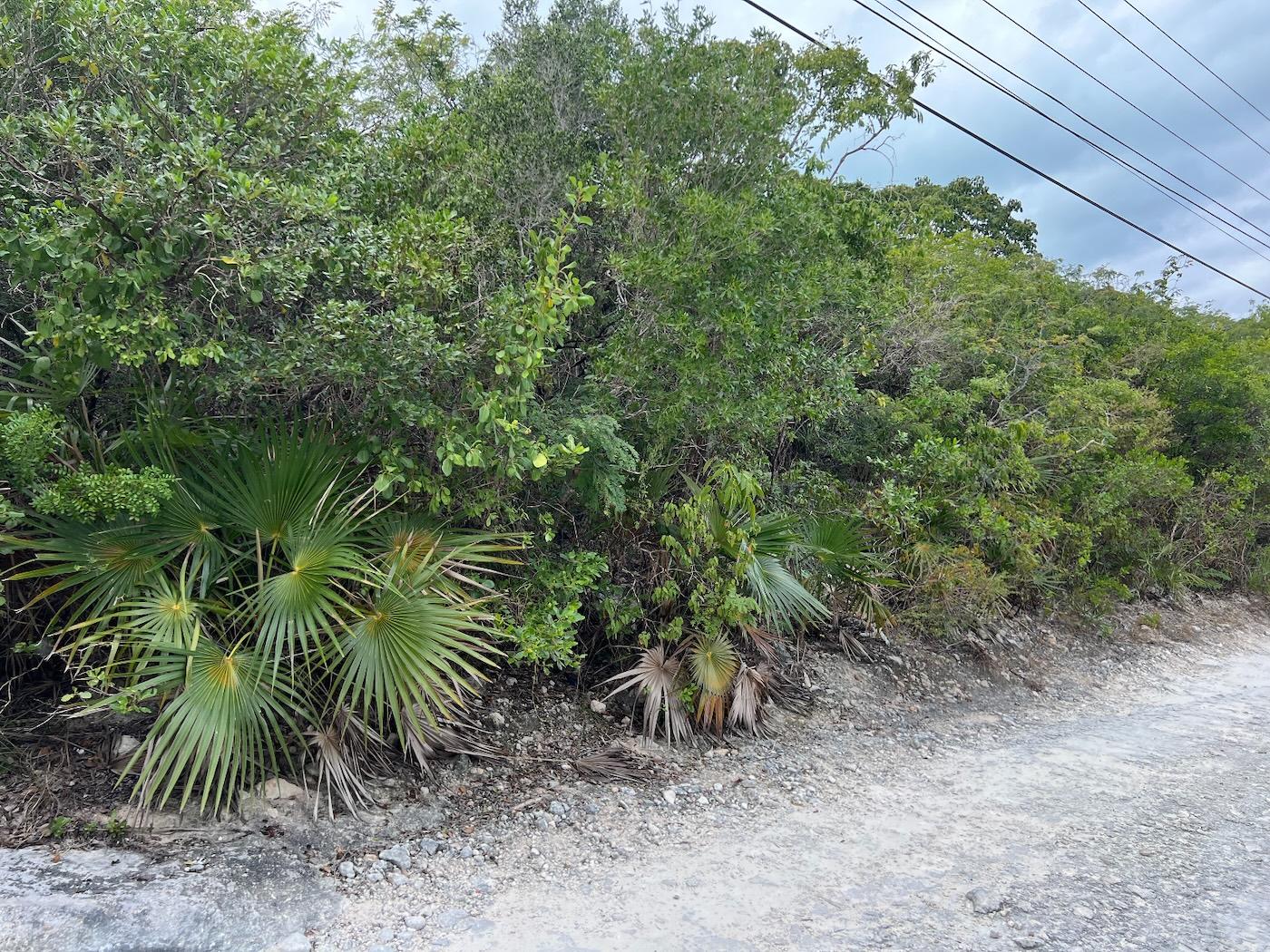 Vacant Land for sale - Lot 17293, Bahama Sound 18 — photo 5