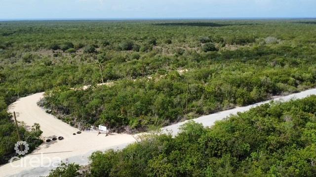 Bluff Land - Cayman Brac East - Lot #12 — photo 2