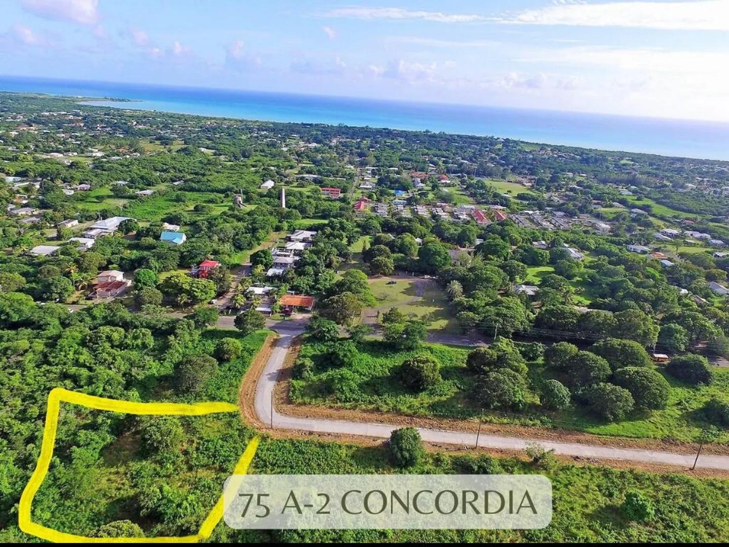 Homesite at 75-c-2 Concordia We, St. Croix — photo 1