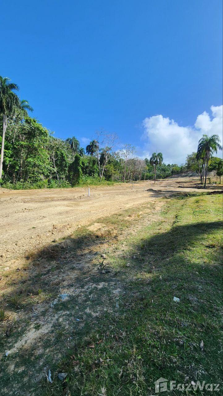 Residential Land for Sale in San Felipe De Puerto Plata — photo 4