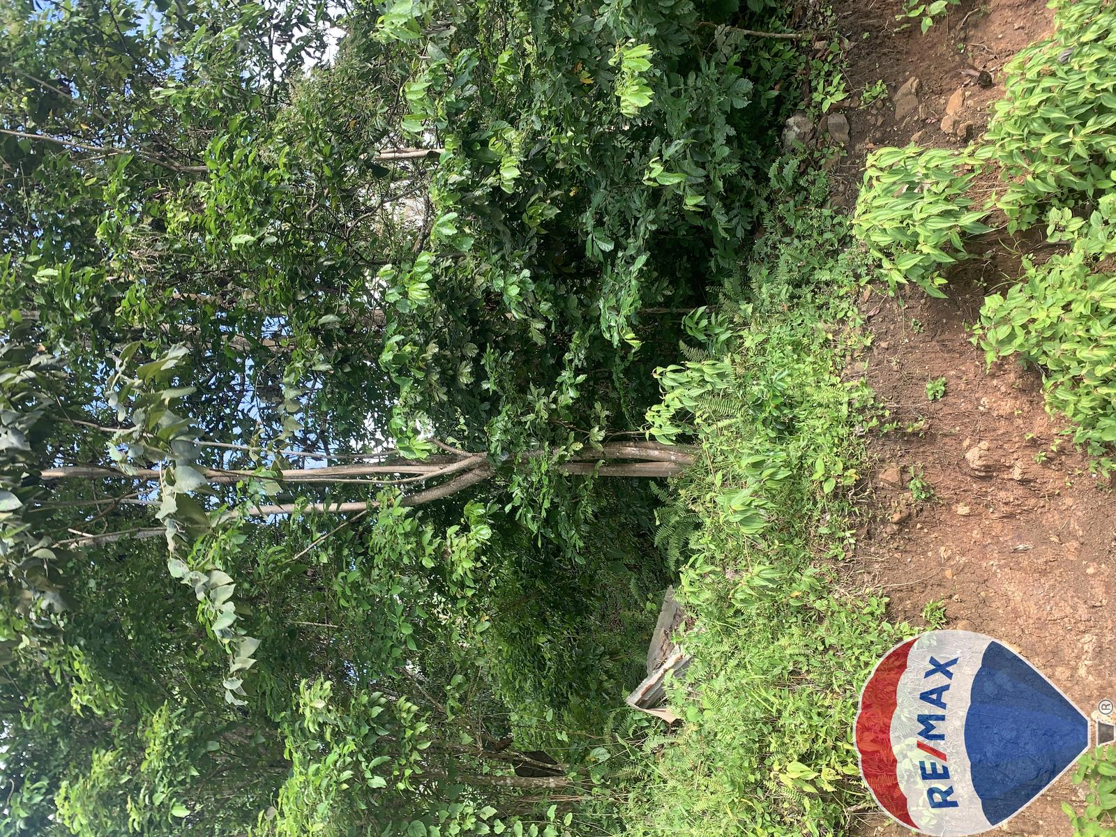 Hillside Land Opportunities with Scenic Mountain Views in Desrameaux — photo 4