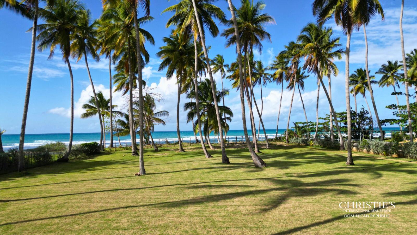 Beachfront Land at Playa Coson, Las Terrenas — photo 4
