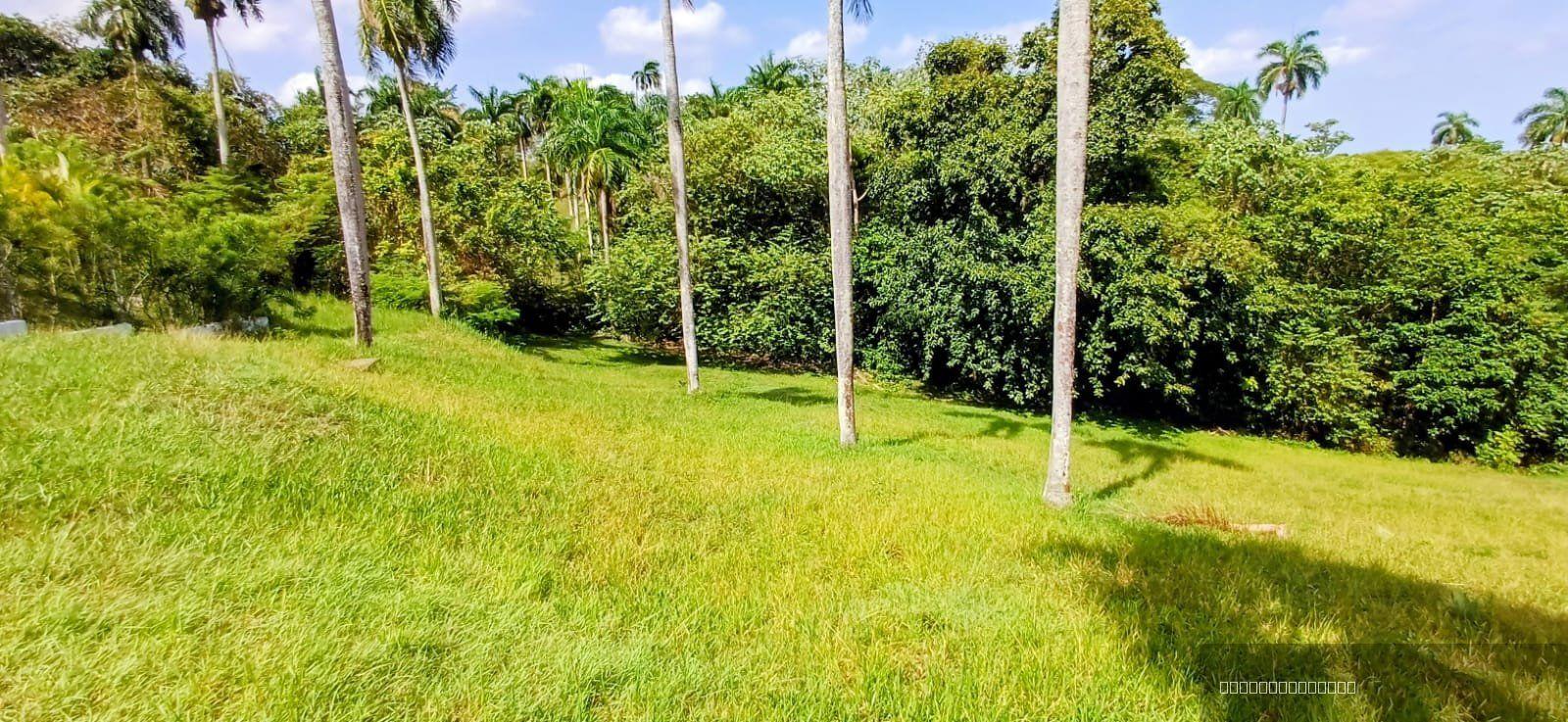 Oceanview Residential Lot in La Mulata, Sosúa — photo 3