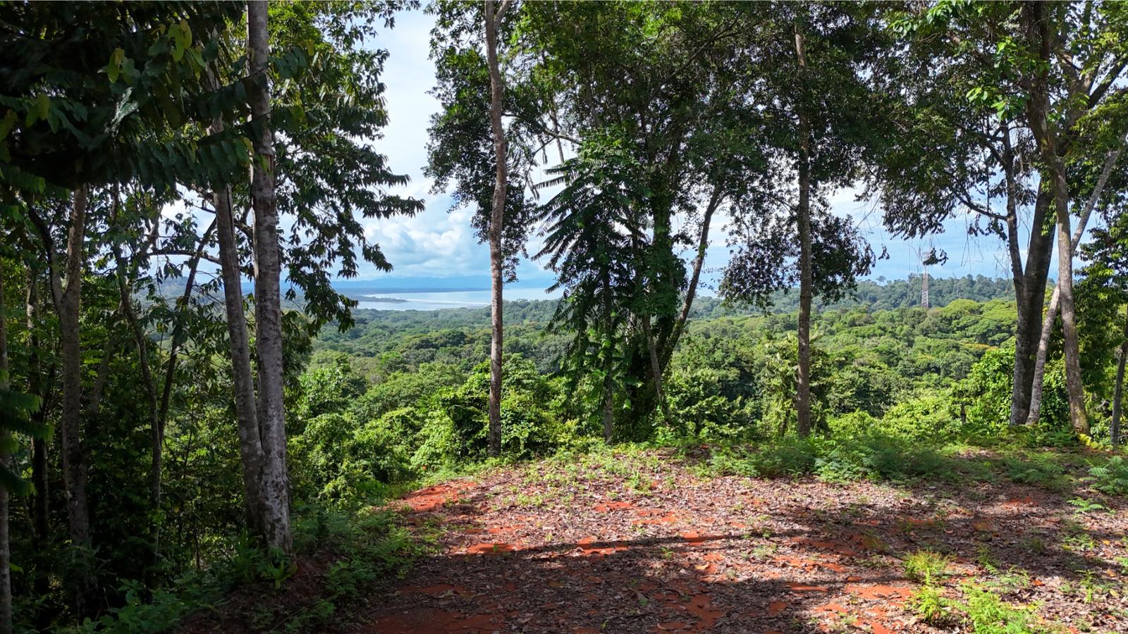 2.42 Hectares of Ocean View Land for Sale in Cinco Ventanas, Ojochal, Costa Rica — photo 3