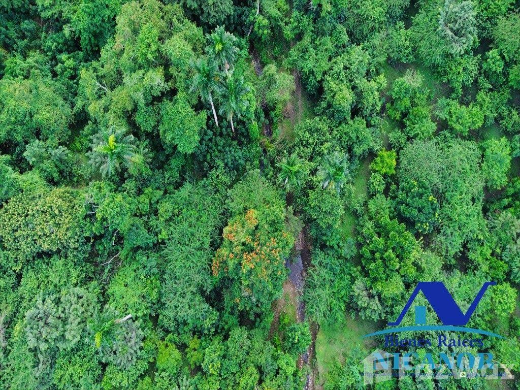 5,200 tareas cattle farm for sale — photo 2