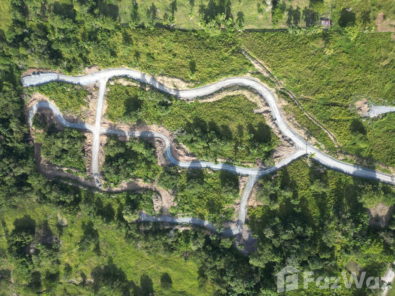Country Side Building Lots Beautiful Mountain Views L5887SDC — photo 2