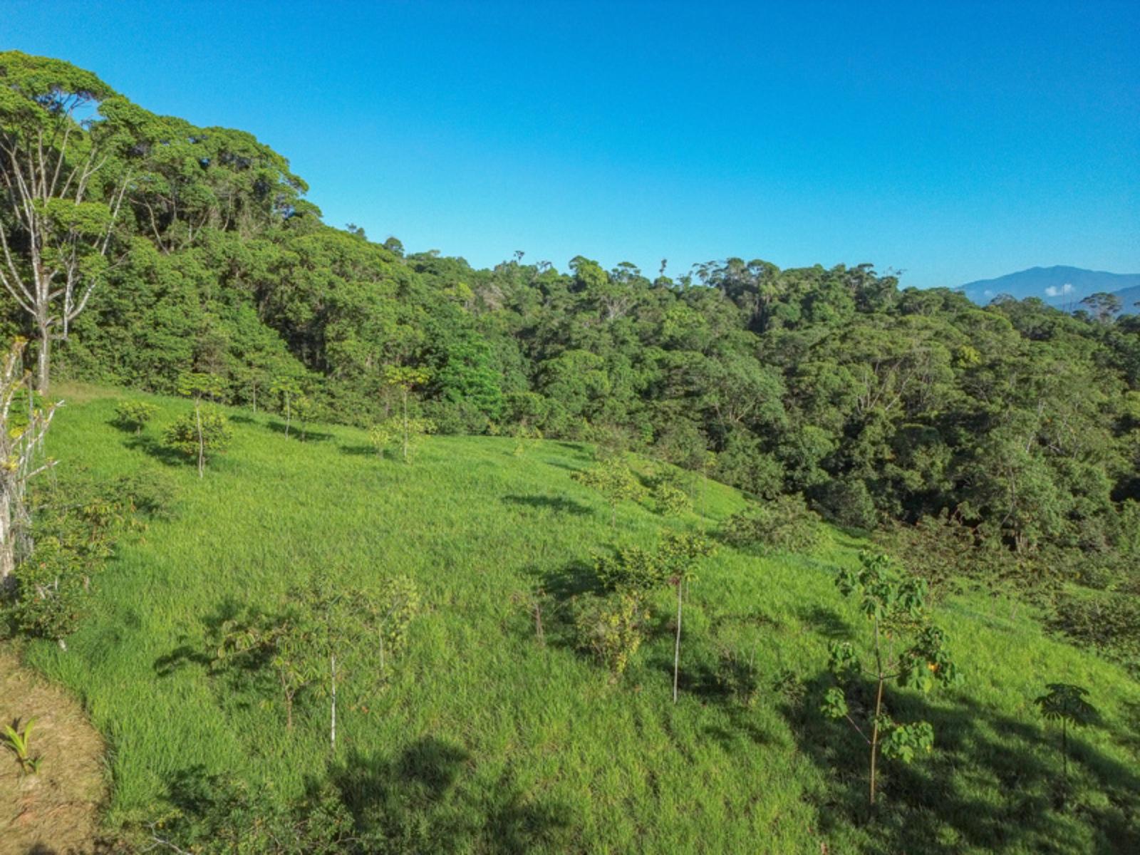 55 Acres of Ocean-View Land for Sale, Escaleras, Dominical, Puntarenas, Costa Rica — photo 3