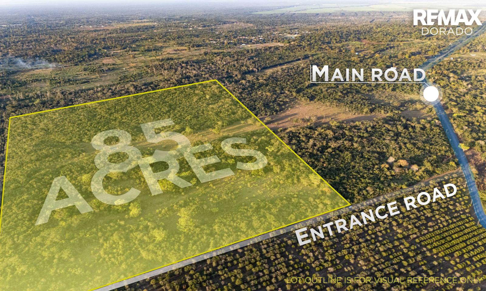 Prime 85 Acre Opportunity in Frank's Eddy Village — photo 1