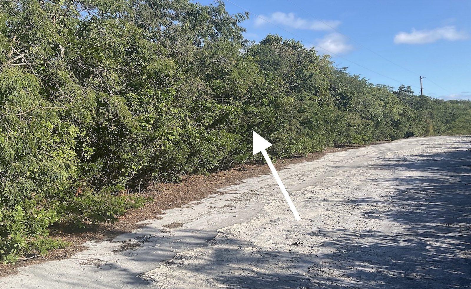 Lot 171 Phase 3, Section 2 - Mls 65630, Stella Maris, Bahamas — photo 1