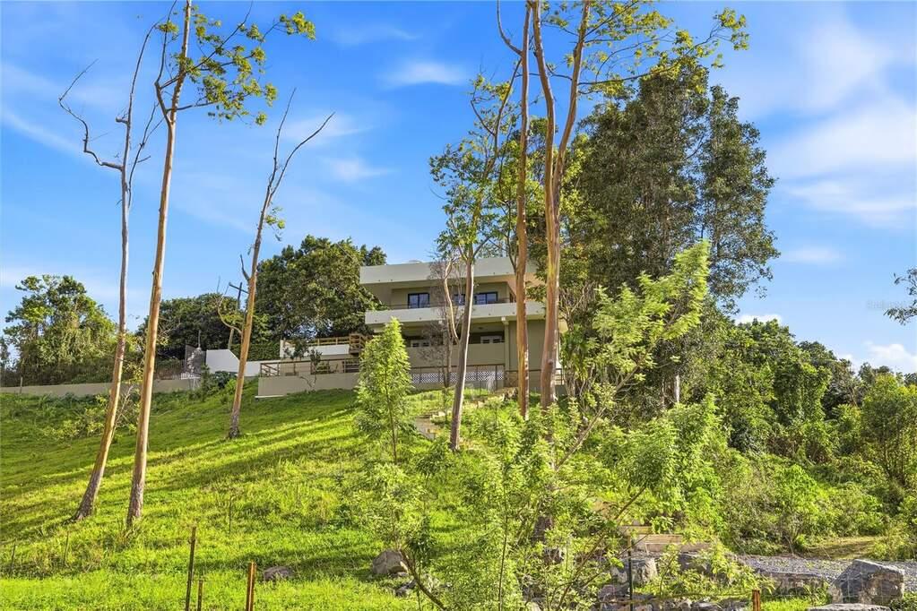Private Mountaintop Retreat in Cayey — photo 5