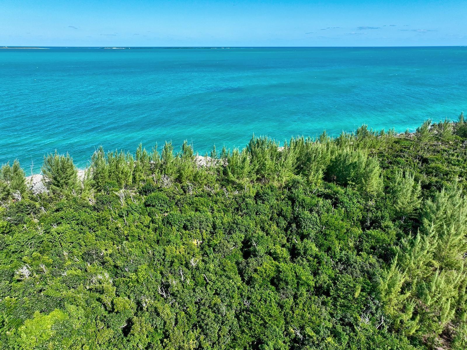 LOT #1 TREASURE CAY — photo 2