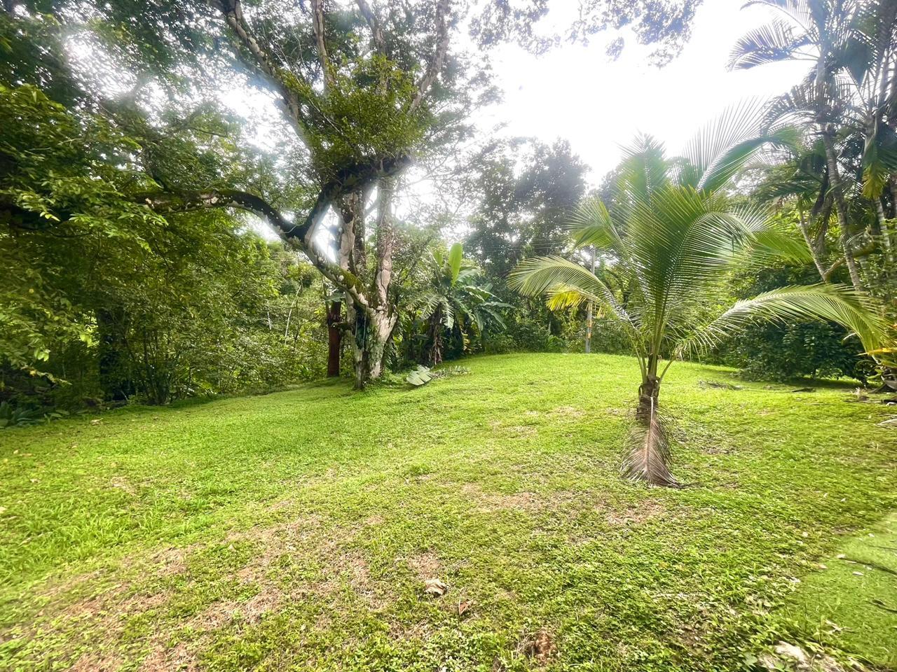 7 Bedroom Property with Three Homes for Sale — photo 2