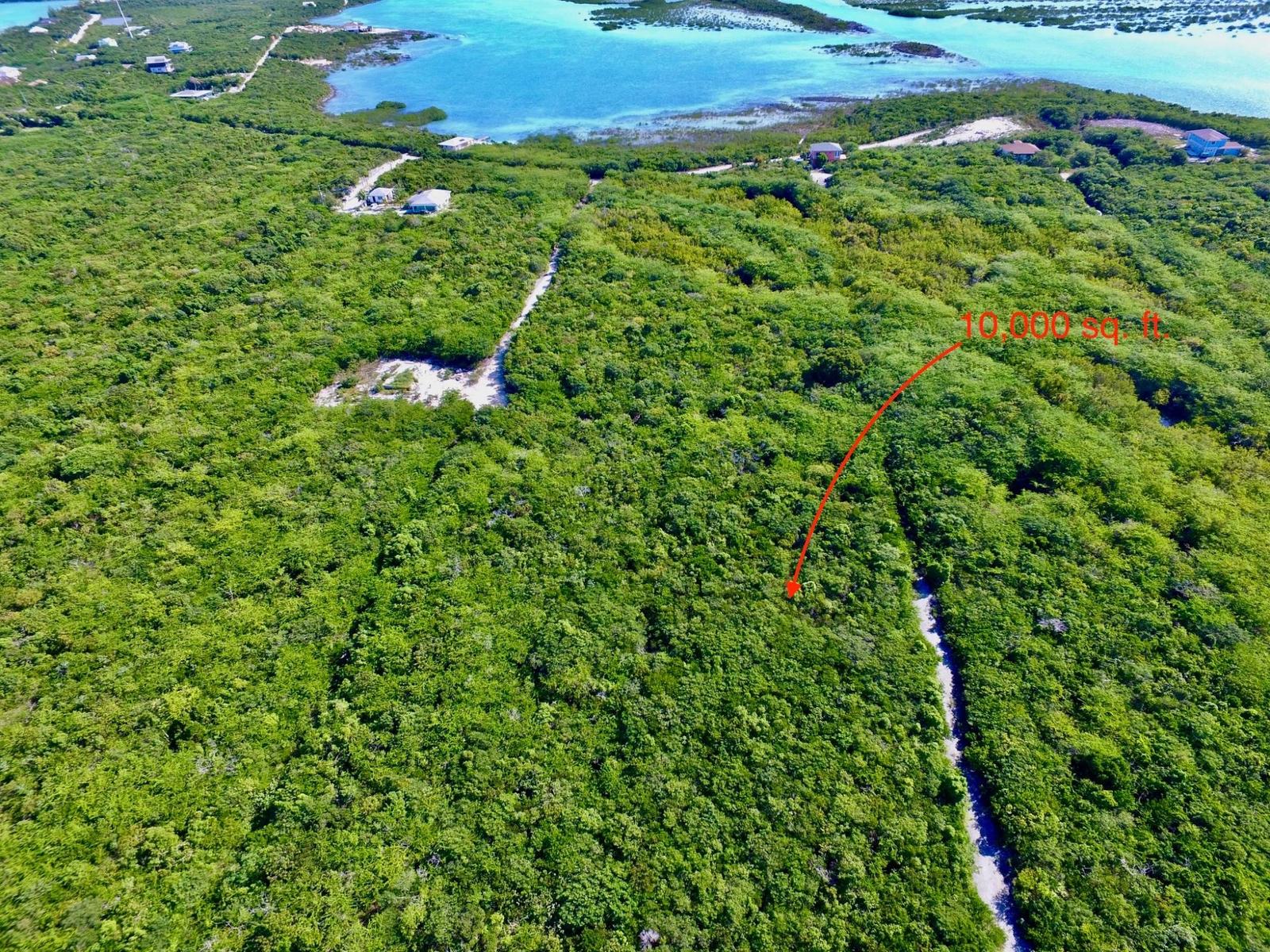 Bahama Sound Land Plot — photo 4