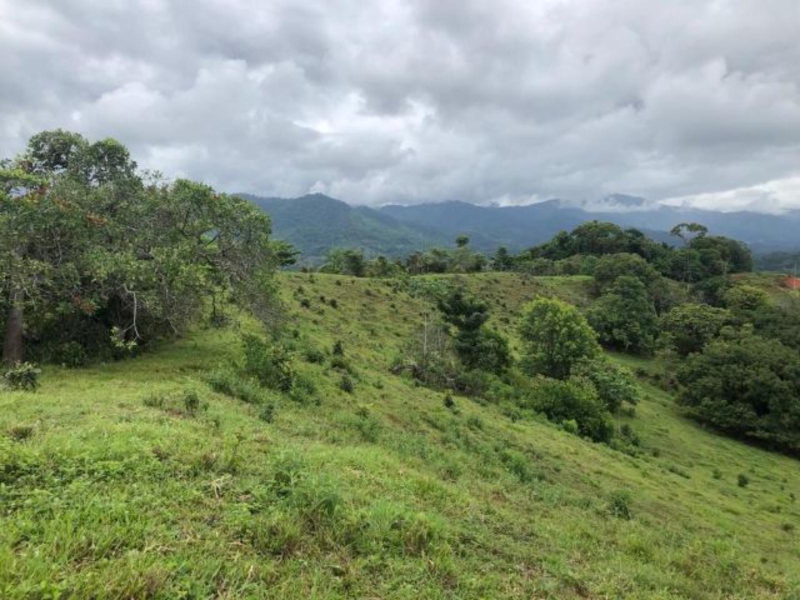 214 Acres Land for Sale in Naranjito, Quepos, Puntarenas, Costa Rica — photo 1