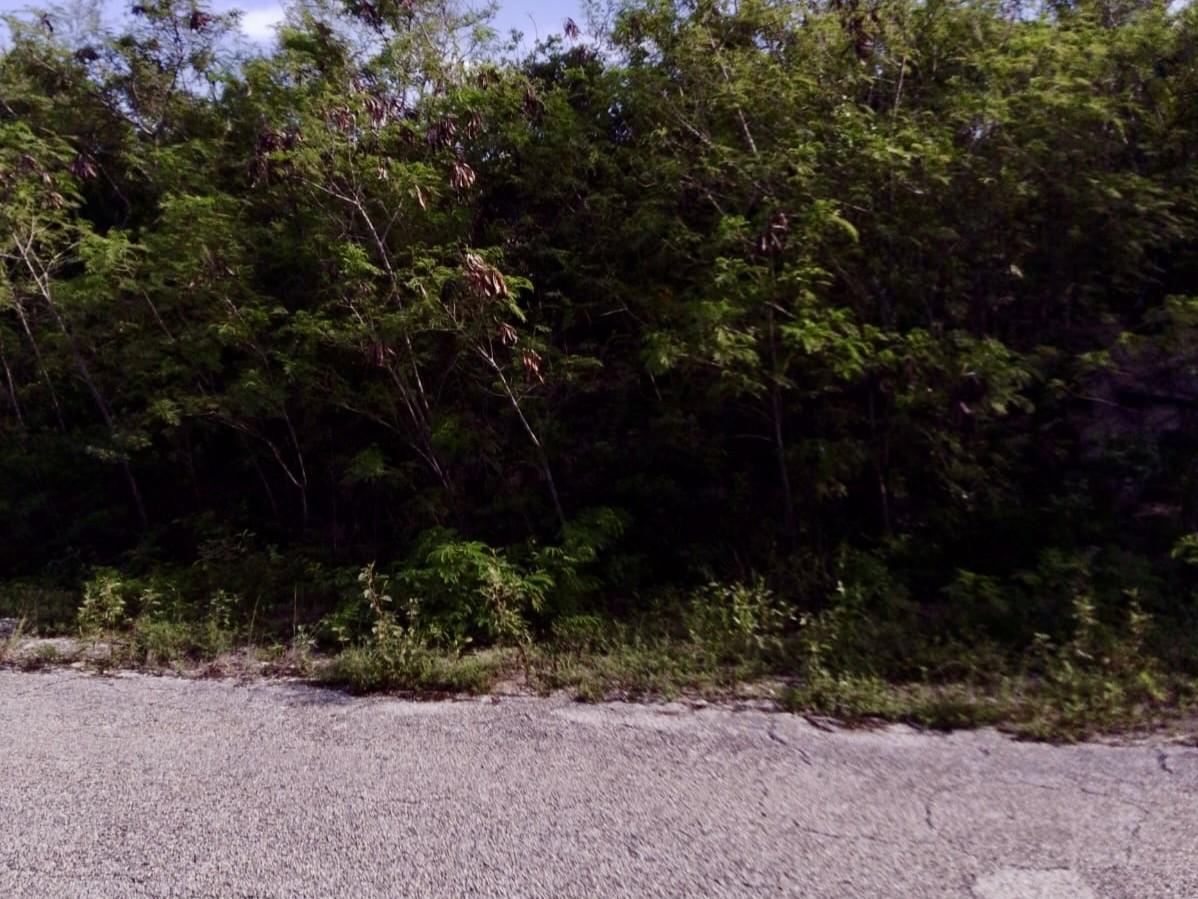Block 44 Lot 26 Columbus Landing - Mls 64242, Bahamas — photo 4