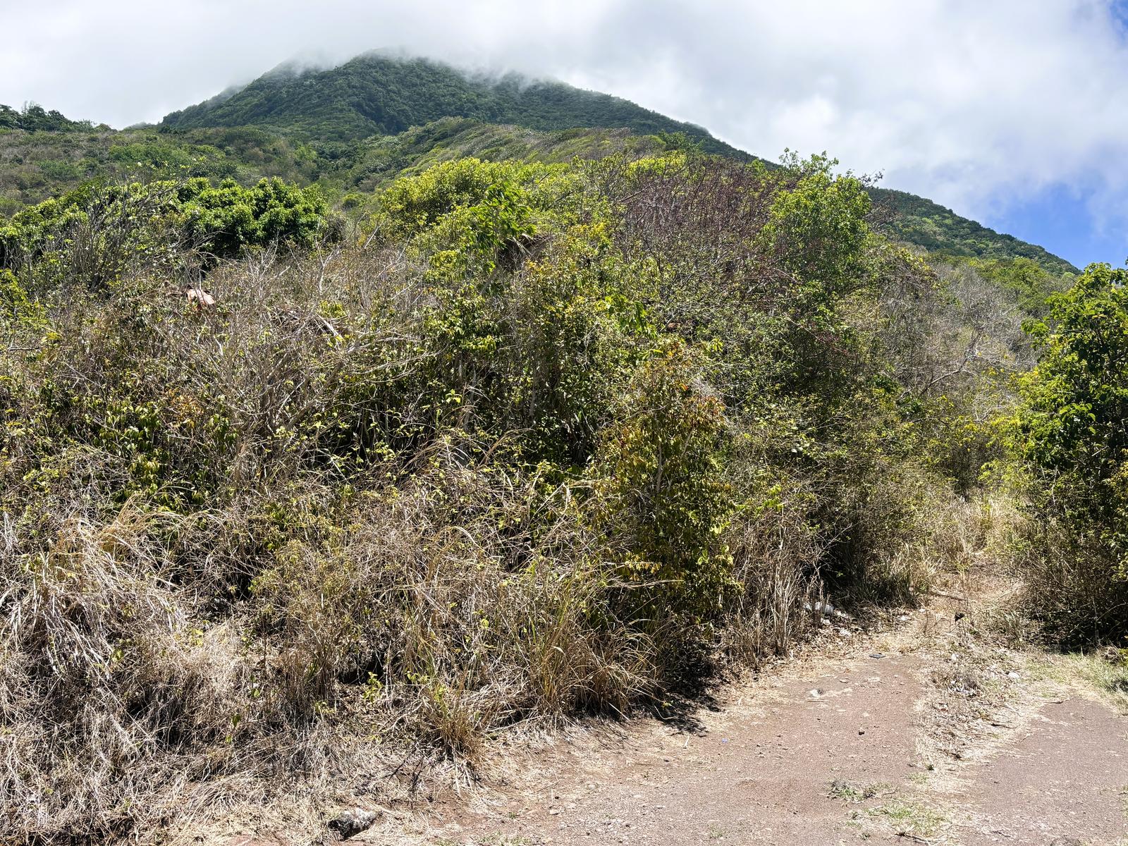 Behind the Ridge * Land For Sale * Zion’s Hill Saba — photo 3