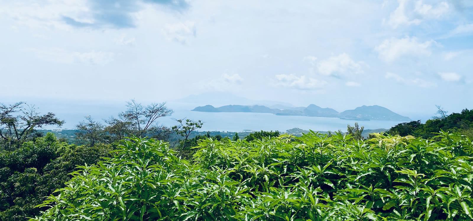 1 Acre Lot for Sale, Upper Fern Hill, Nevis — photo 1