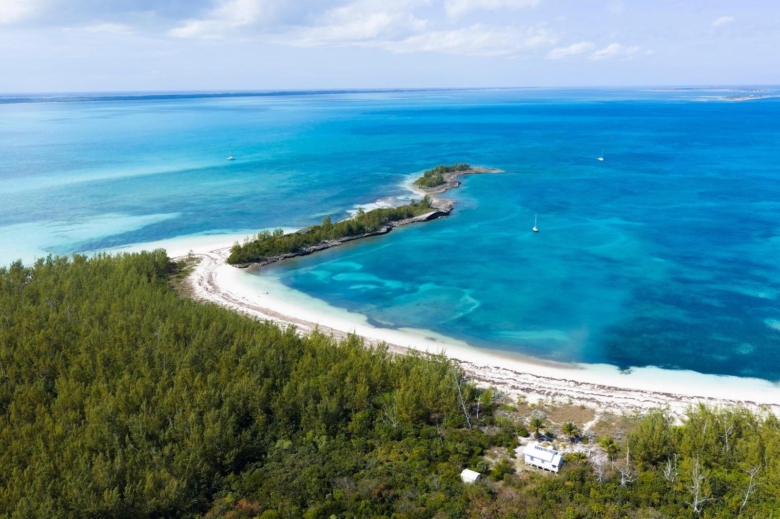 MUNJACK CAY — photo 4