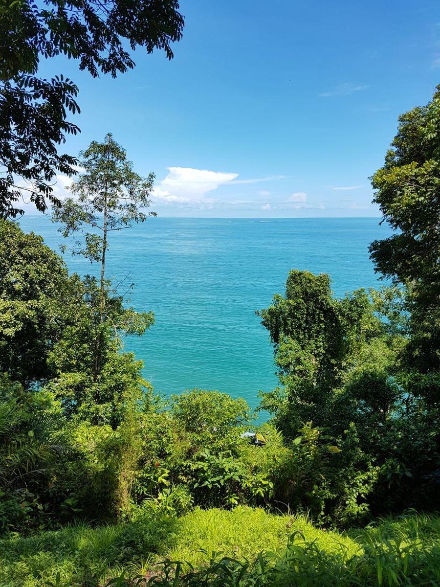 605 Acres Beachfront Land for Sale — photo 3