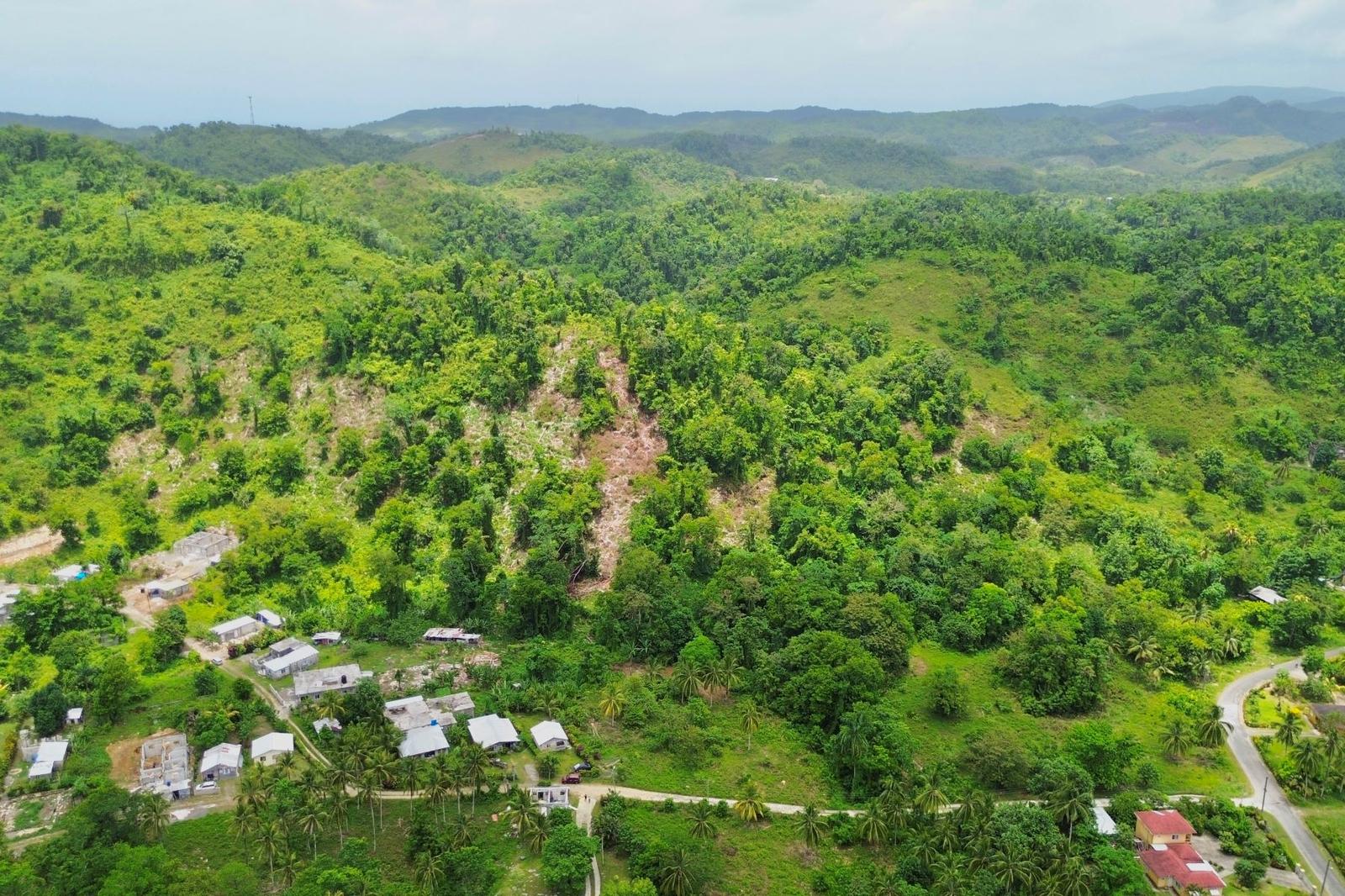 54 Acres of Development Land for Sale, Nonsuch, Portland, Jamaica — photo 1