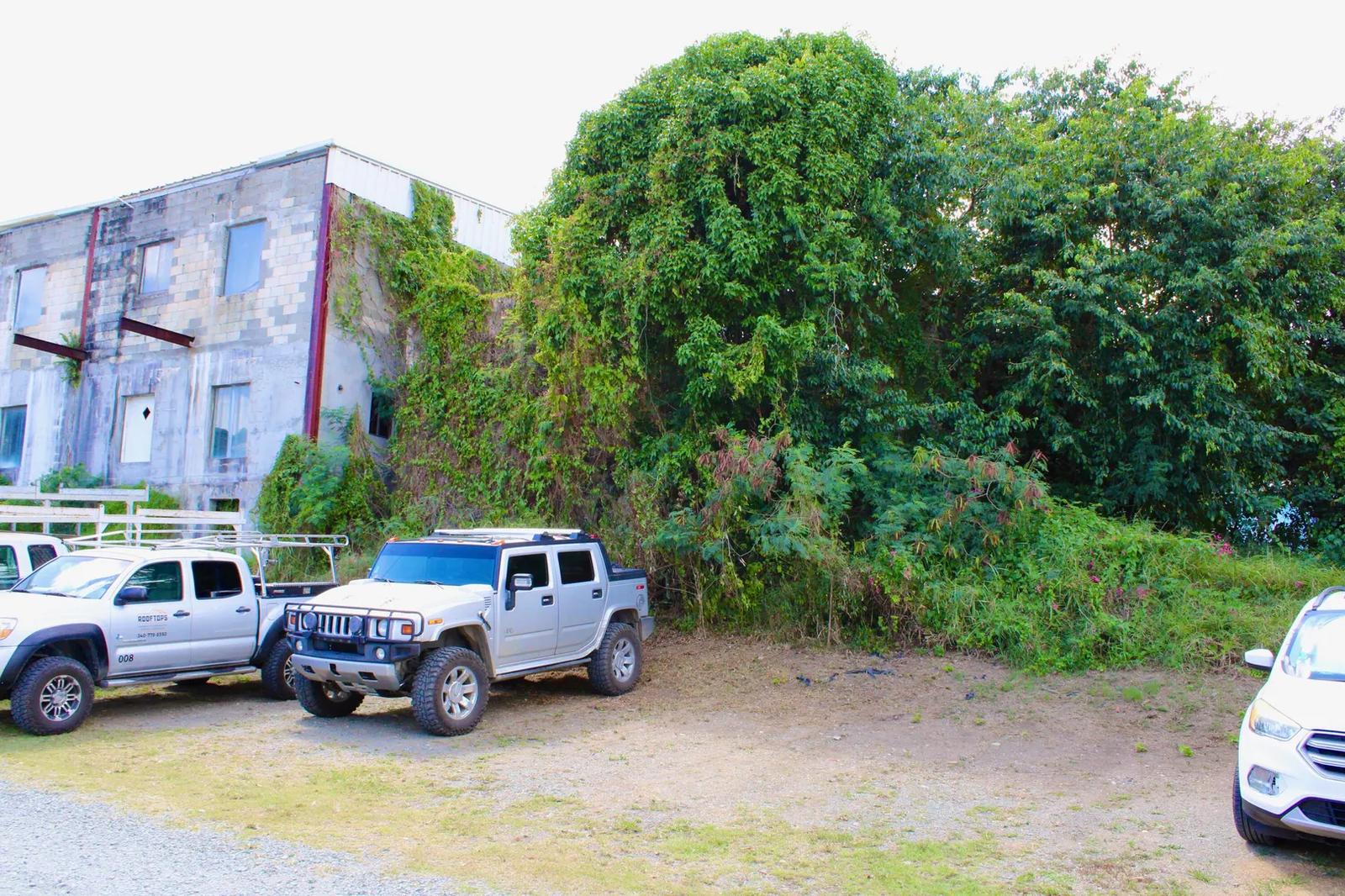 Homesite for Sale in US Virgin Islands — photo 2