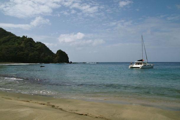 100 Acres of Land for Sale, Cotton Bay, Tobago — photo 4