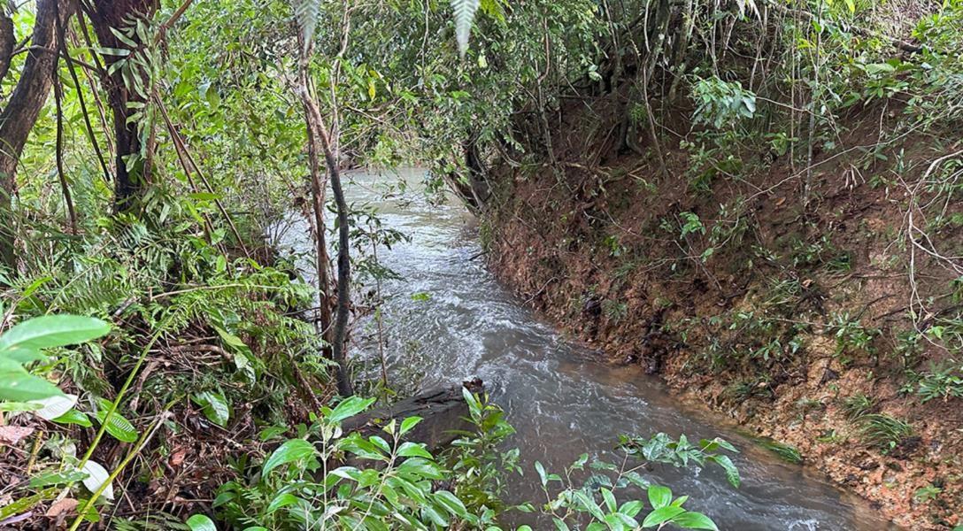 103 Acres of Natural Jungle Allure near Santa Cruz — photo 3