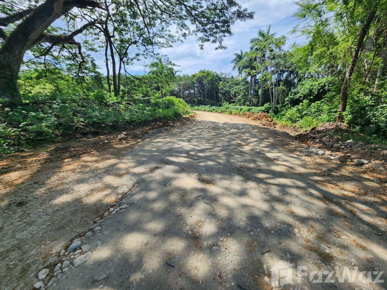 Land for sale in Muñoz, Puerto Plata! Just 3 minutes away — photo 1