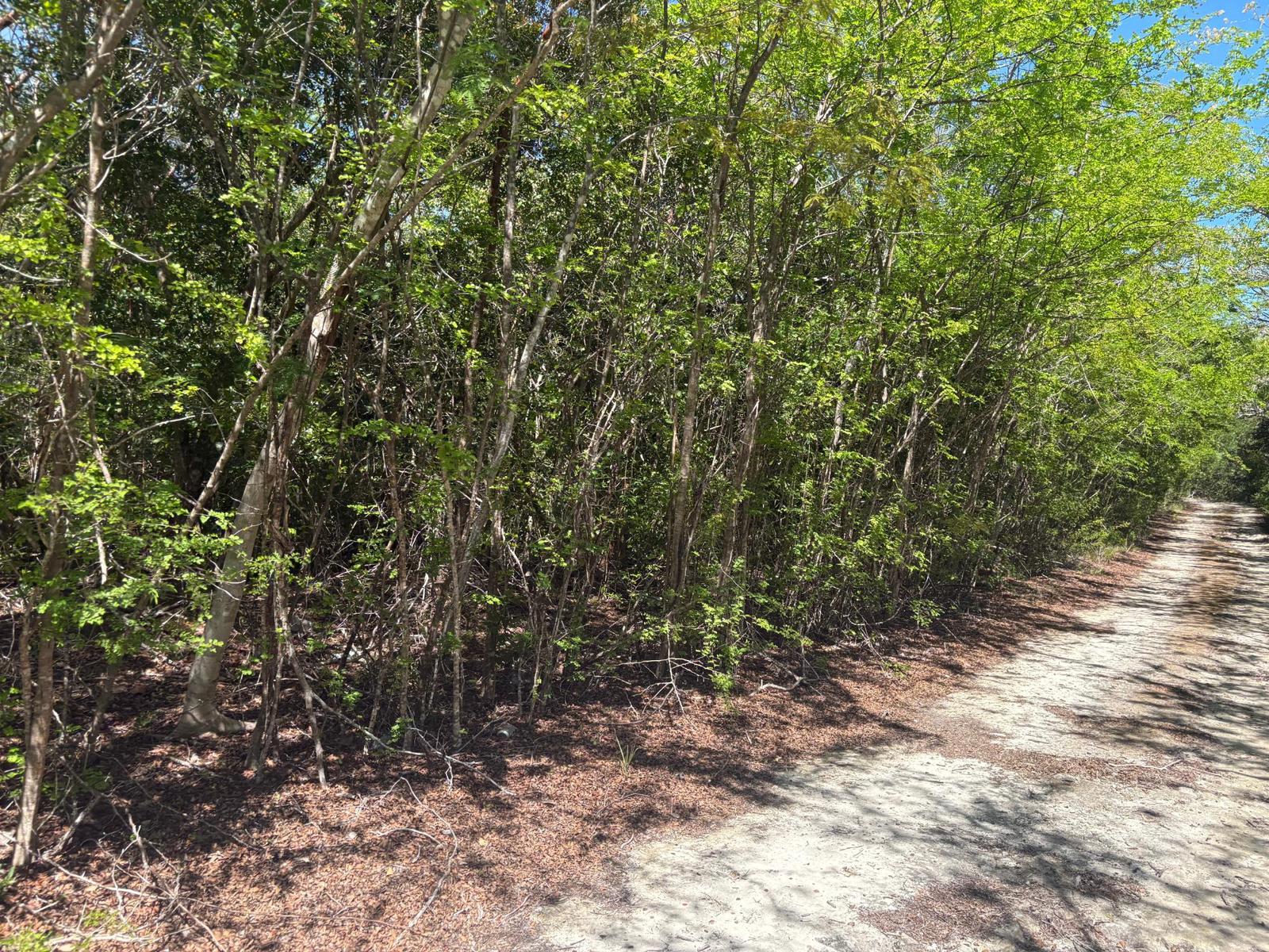 Bahama Island Beach Land for Sale in Exuma, The Bahamas — photo 4