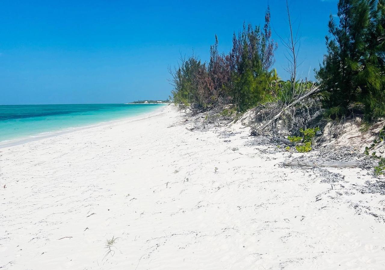 Two Beachfront Lots — photo 3