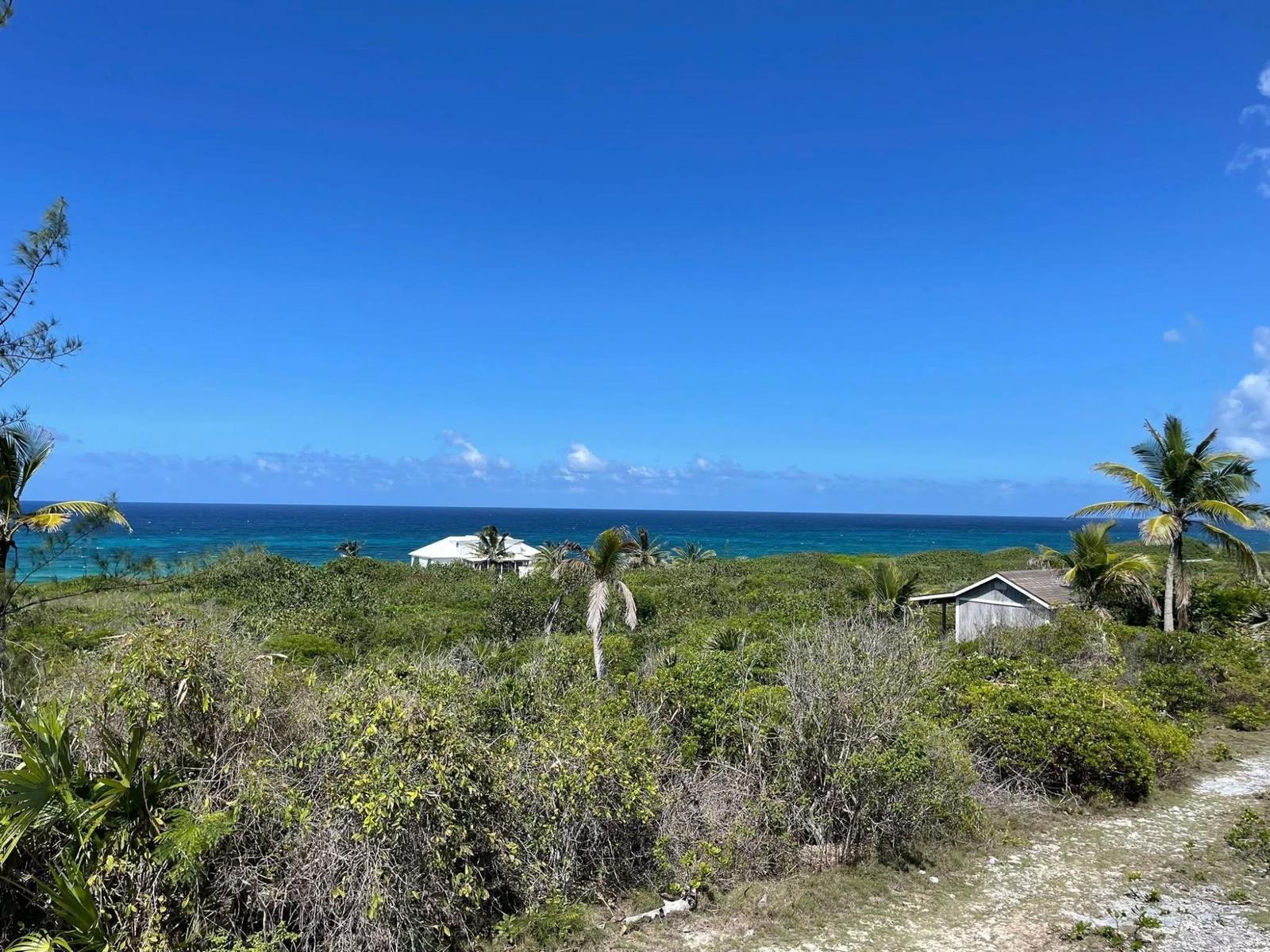 HOLIDAY BEACH — photo 4
