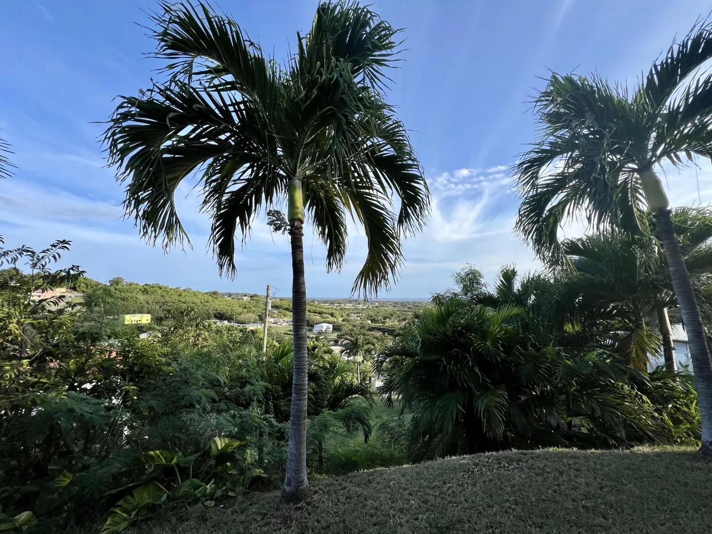 2 Beds 1 Bath Apartment in Sion Farm Qu, St. Croix — photo 2