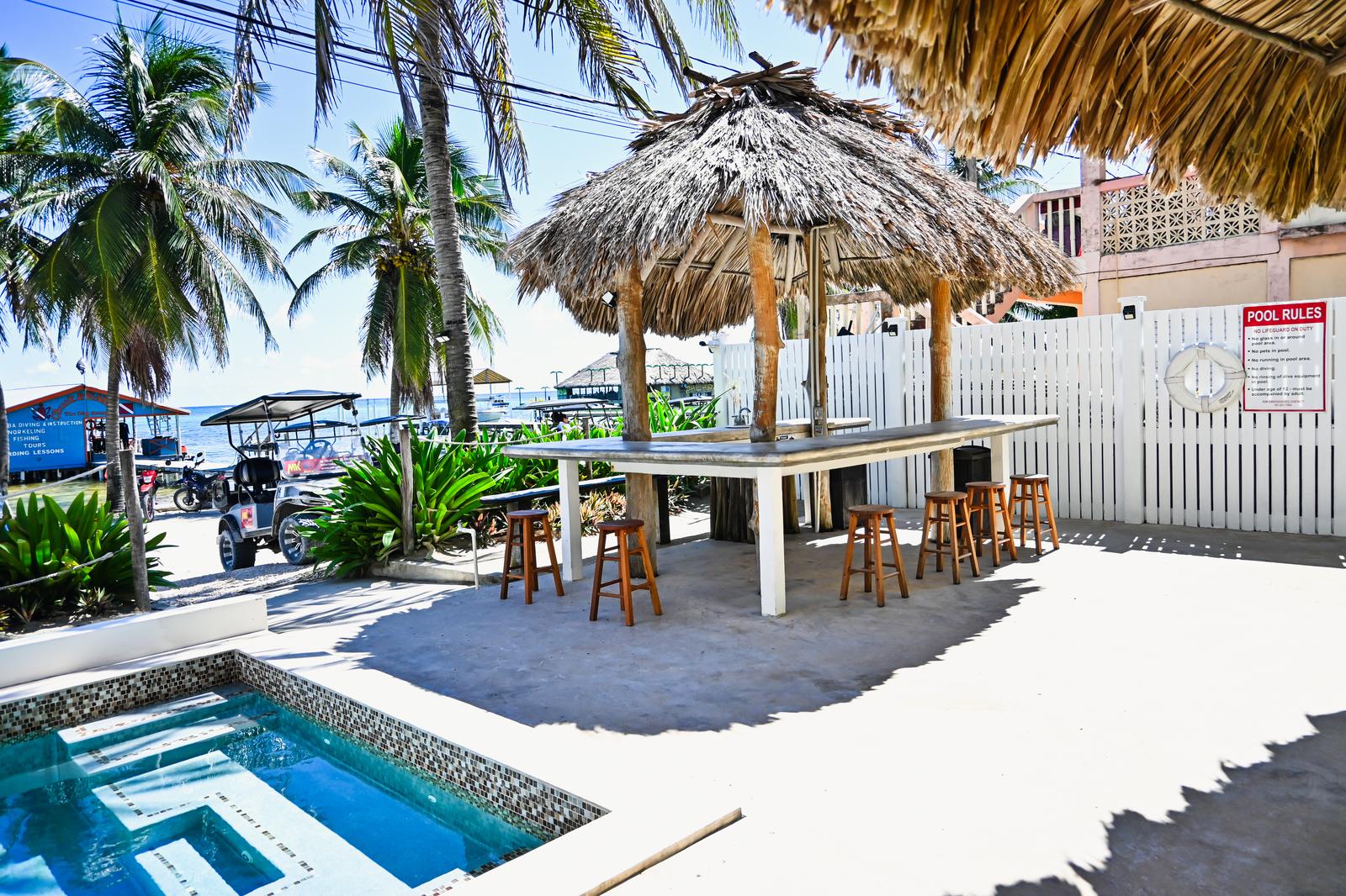 Prime Oceanfront Condo in San Pedro - The Palapa House — photo 3
