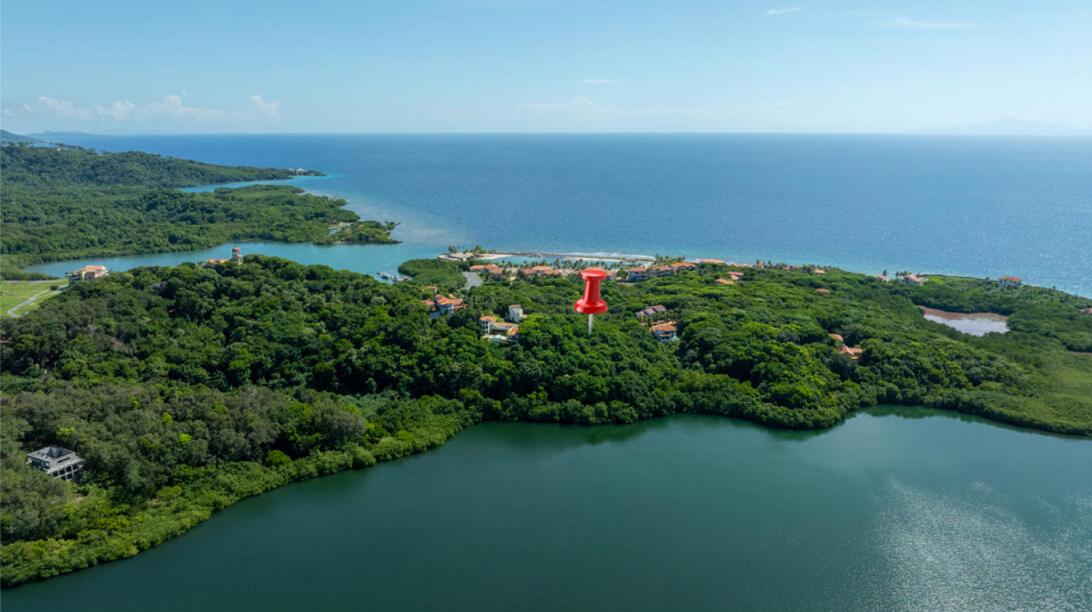 Parrot Tree Plantation 0.53 Acres Lot #31 — photo 2