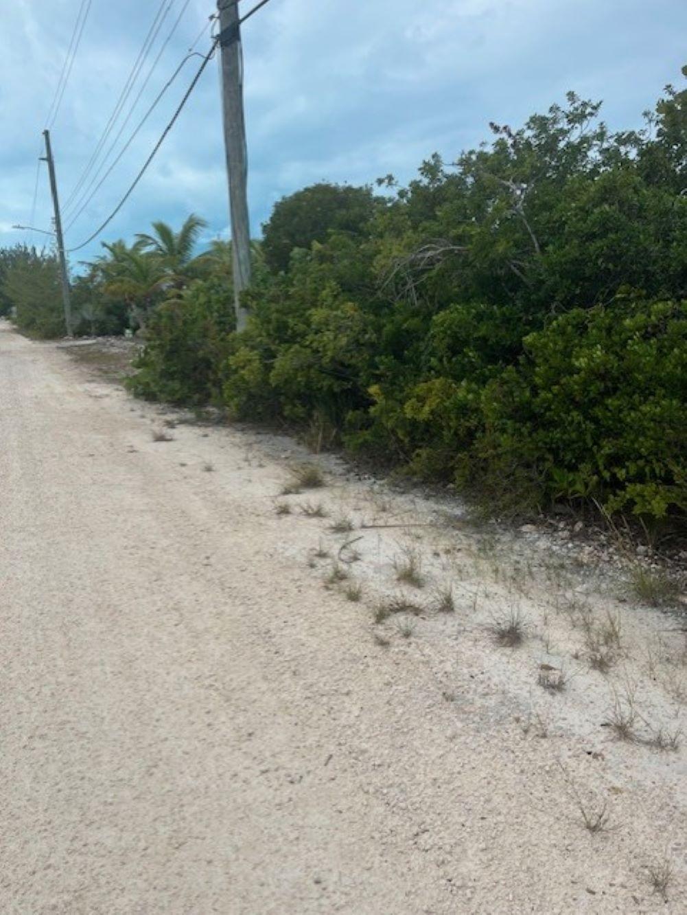 BRENVILLE MILLER RD — photo 2
