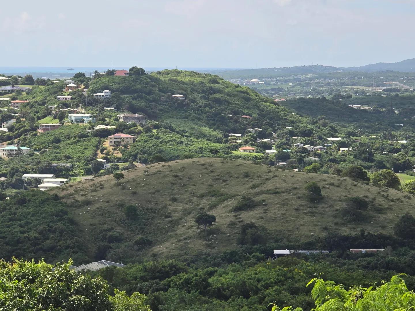 0.95 Acre Homesite in Estate Bugby Hole, US Virgin Islands — photo 4