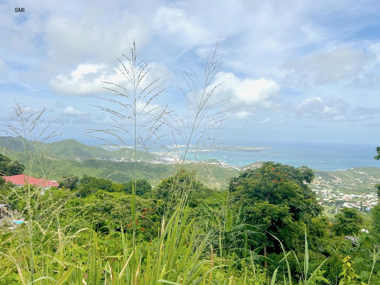 1.67 Acres of Land for Sale in Pic Paradis, St Martin — photo 2