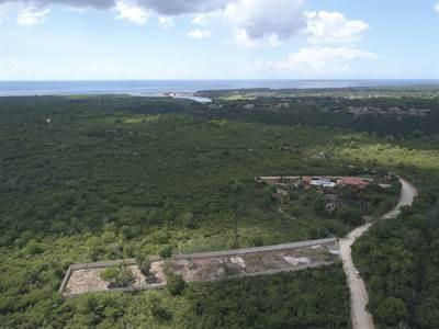 Land For Sale-boca De Chavon-la Romana — photo 5