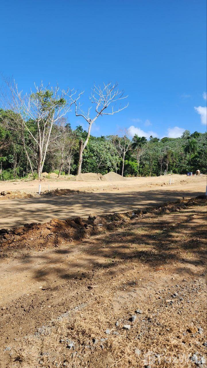 Residential Land for Sale in San Felipe De Puerto Plata — photo 1