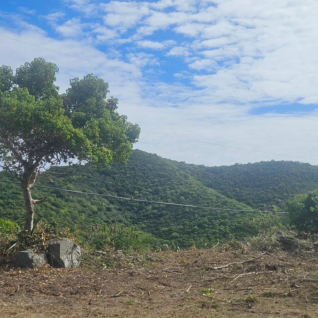 0.99 Acre Homesite in Cotton Valley Eb — photo 4