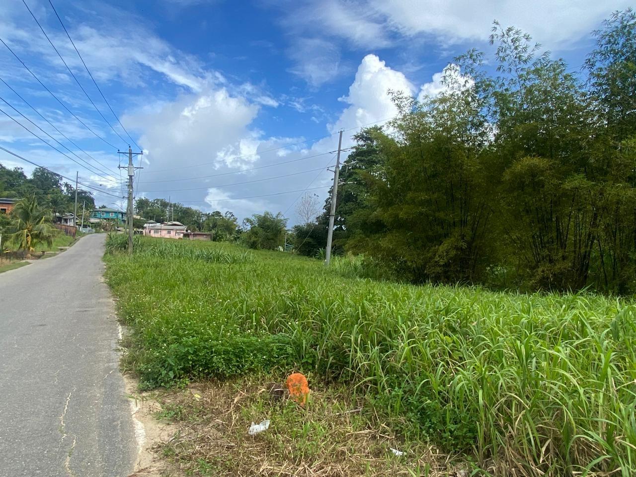 APPROVED PLOT FOR SALE (6,844 sq ft) - GUARACARA TABAQUITE ROAD — photo 5