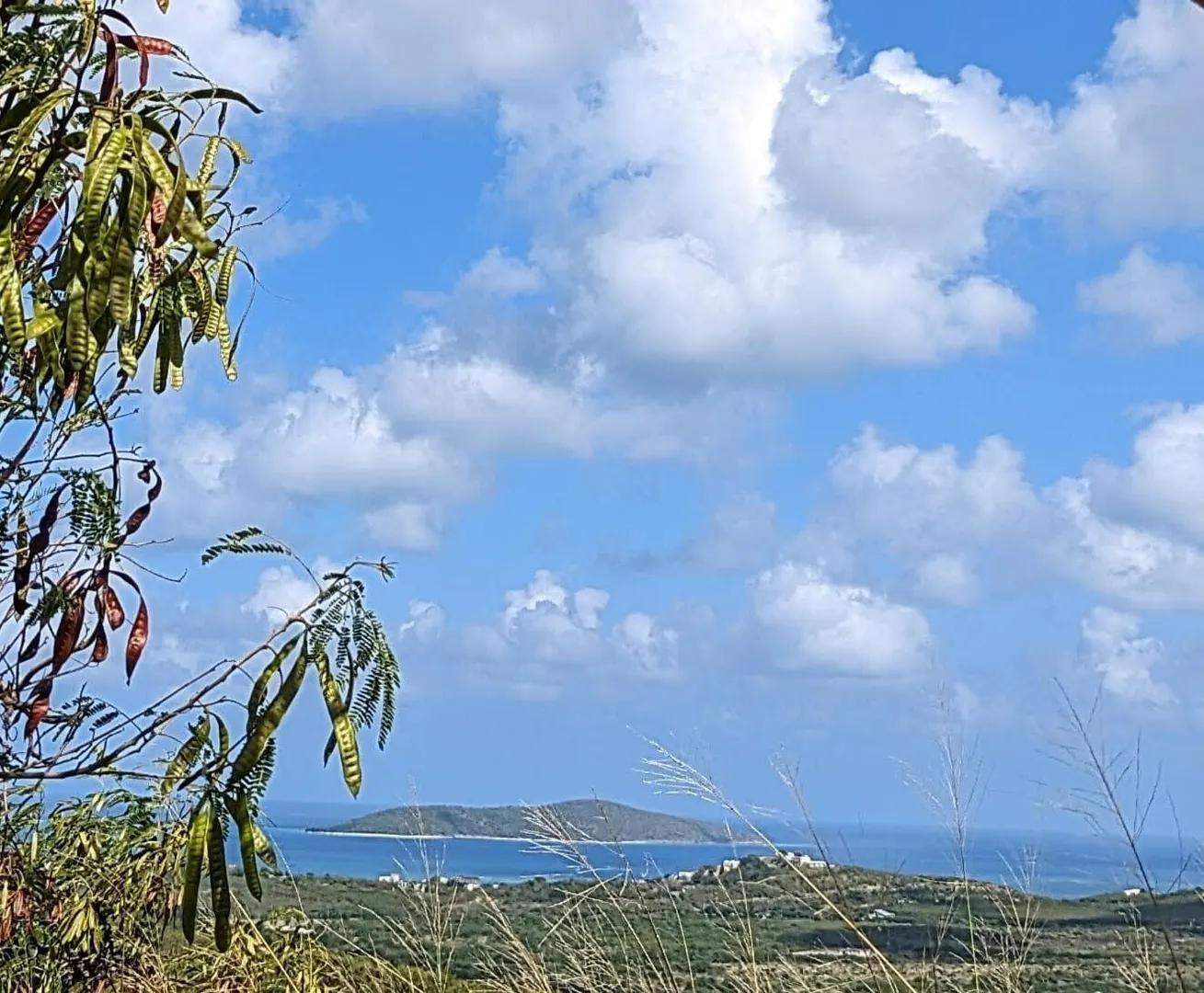 1.48 Acre Homesite with Sea Views in East End, St. Croix — photo 5
