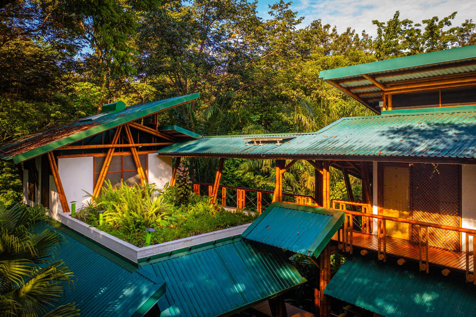 7 Bedroom Beachfront Home for Sale, Golfito, Puntarenas, Costa Rica — photo 5