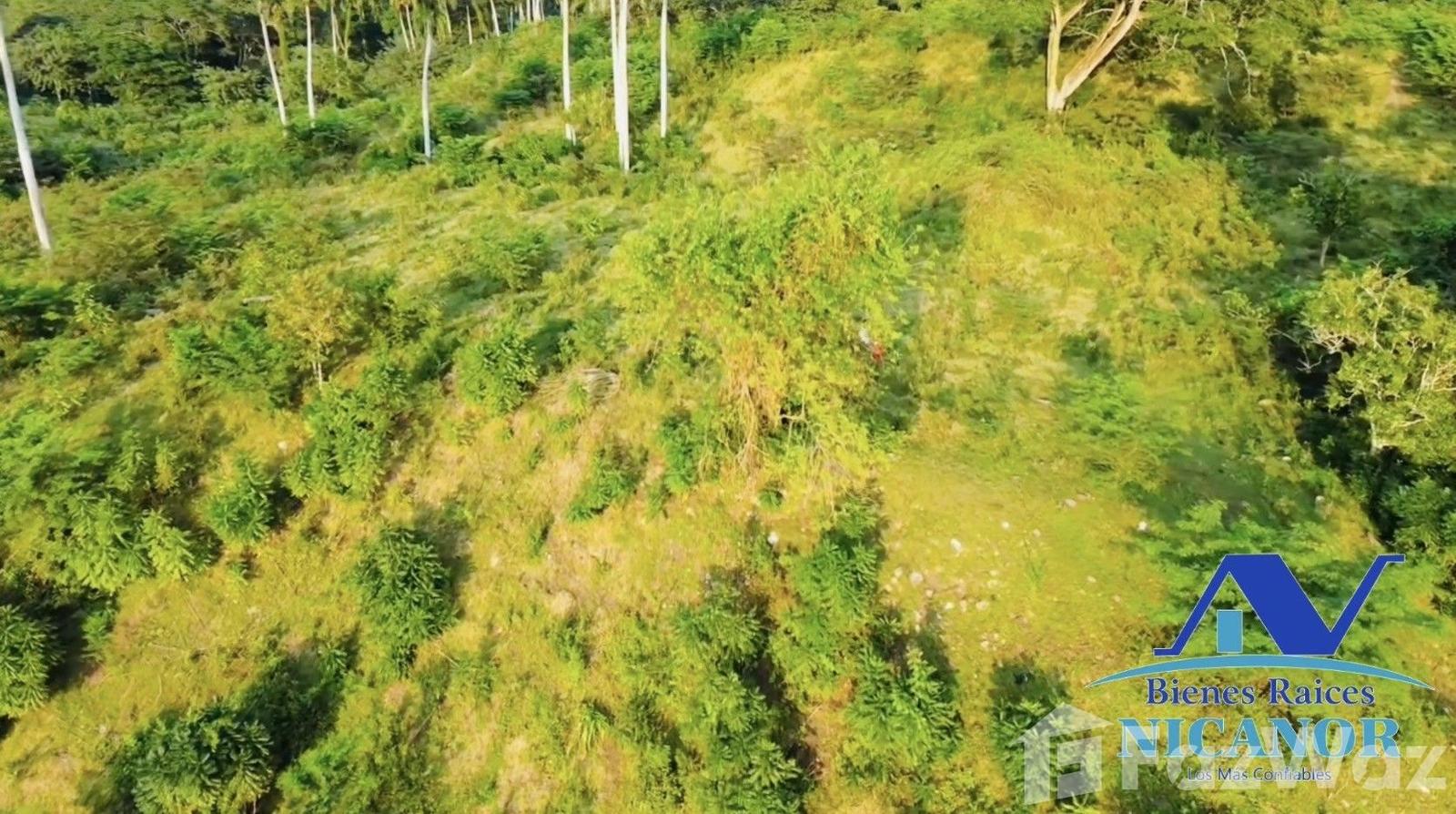 Cattle ranch of 1,150 tareas for sale in Guananico pop. — photo 4