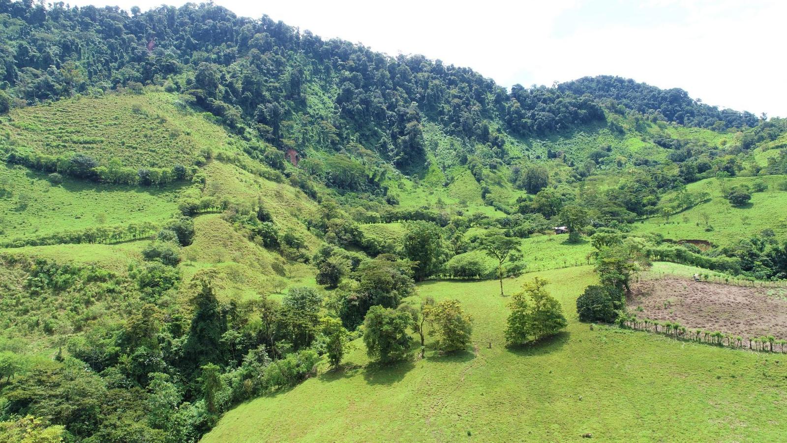 204 Acres of Farm Land for Sale — photo 3