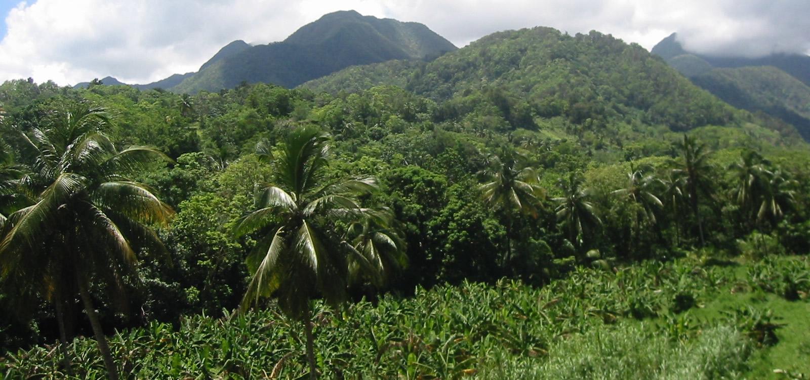 Lots of Land for Sale in Boutique Eco Resort, La Plaine, Dominica — photo 1